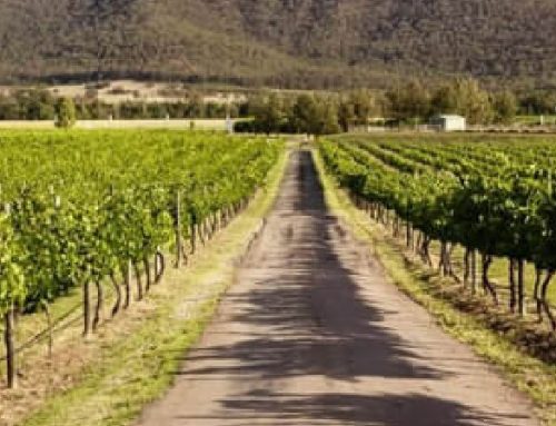 Private Vineyard Tours